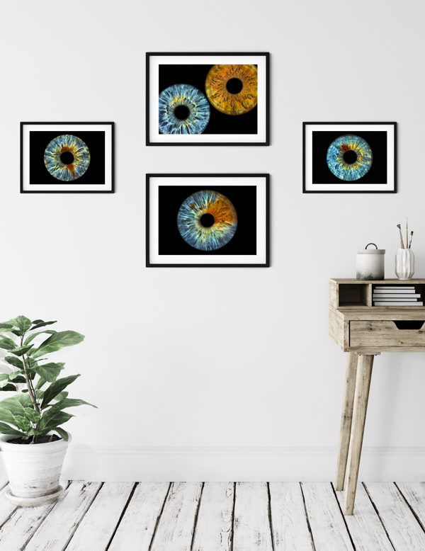 Office-Iris-photo
